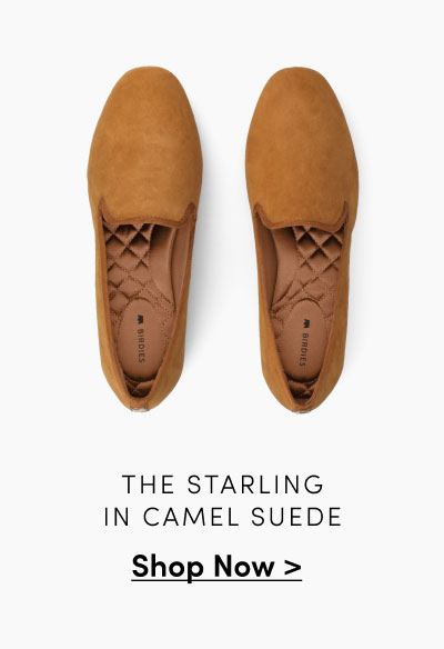 The Starling In Camel Suede