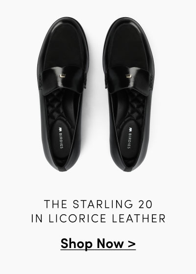 The Starling 20 In Licorice Leather