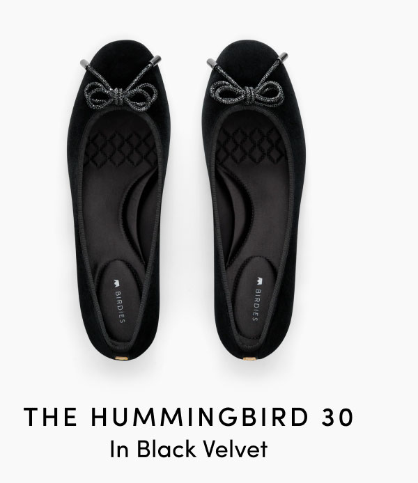 The Hummingbird 30 In Black Velvet