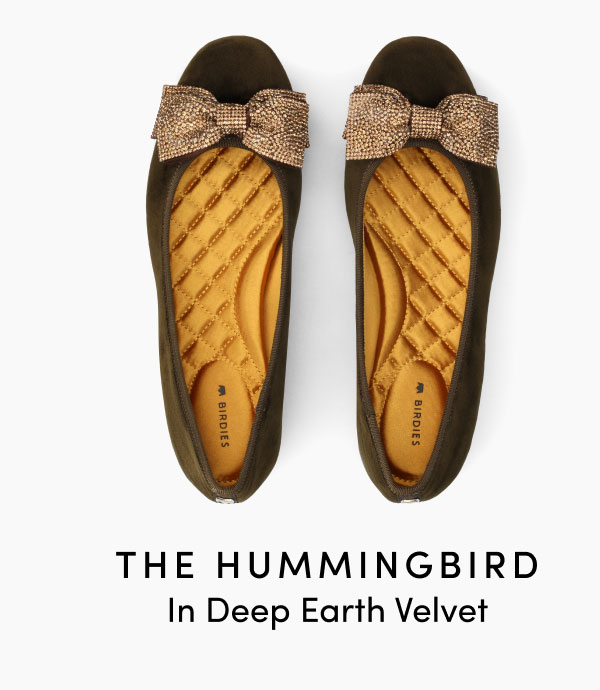 The Hummingbird In Deep Earth Velvet
