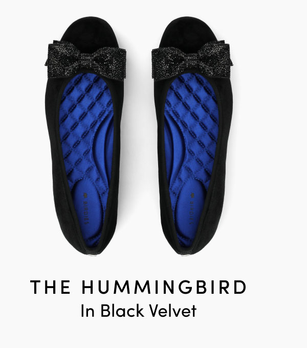 The Hummingbird In Black Velvet