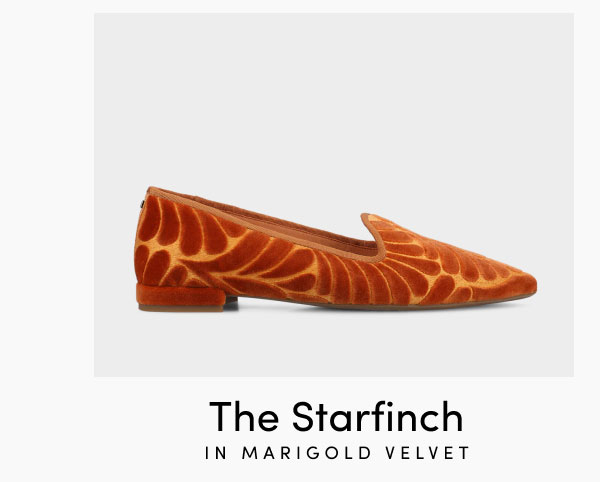The Starfinch in Marigold Velvet
