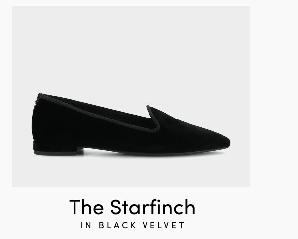 The Starfinch in Black Velvet