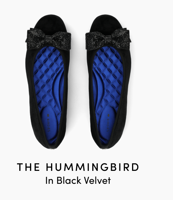 The Hummingbird In Black Velvet