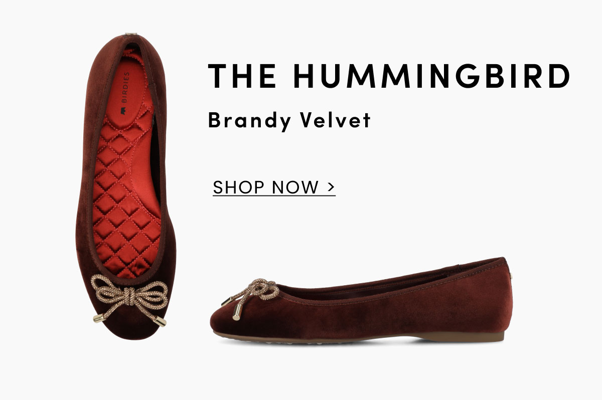 The Hummingbird In Brandy Velvet