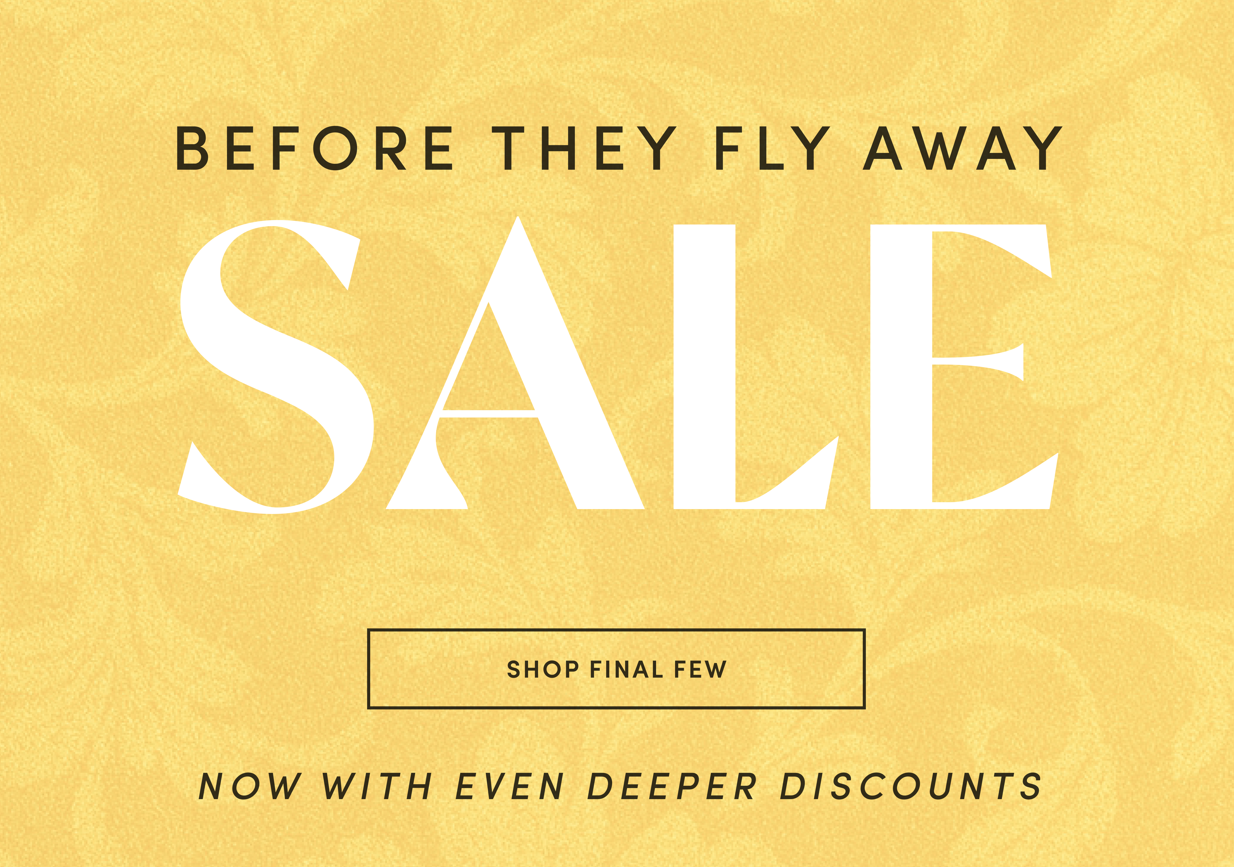 Before they fly away sale 