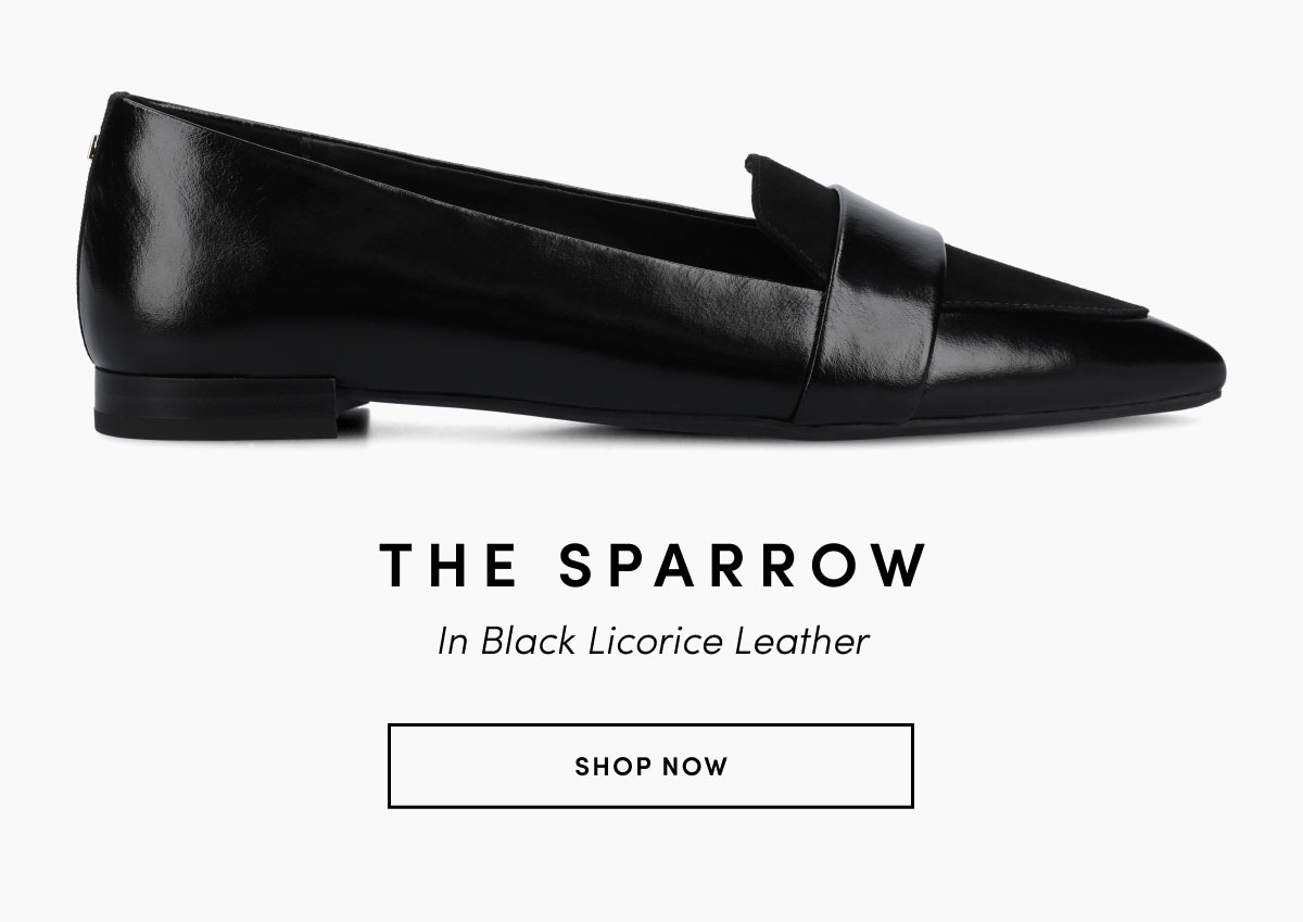 The Sparrow In Black Licorice Leather