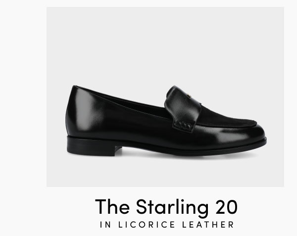 The Starling 20 In Licorice Leather