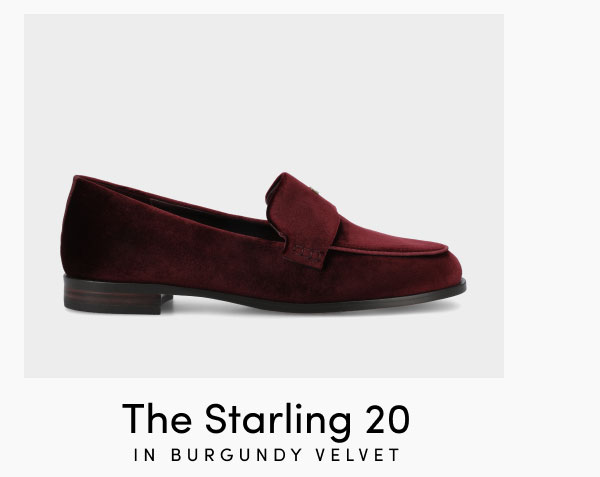 The Starling 20 In Burgundy Velvet