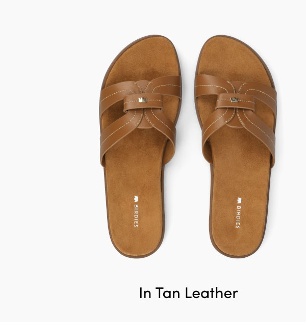 In Tan Leather
