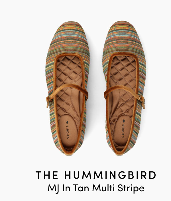 The Hummingbird MJ In Tan Multi Stripe