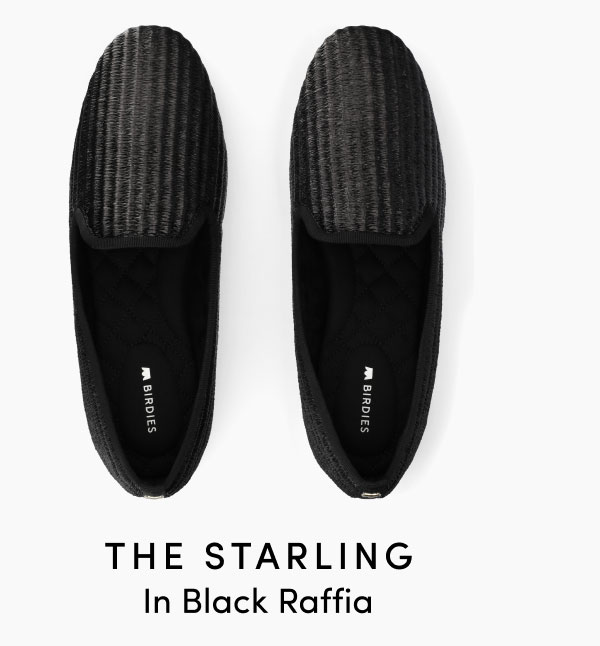 The Starling in Black Raffia