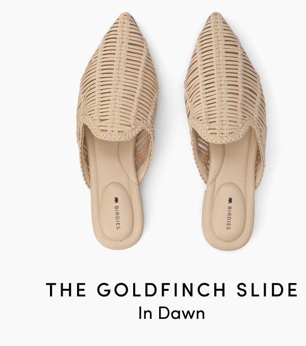 The Goldfinch Slide In Dawn