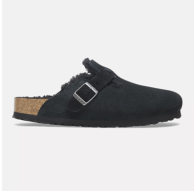 Boston_Teddy_Shearling