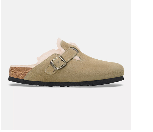 Boston_Shearling