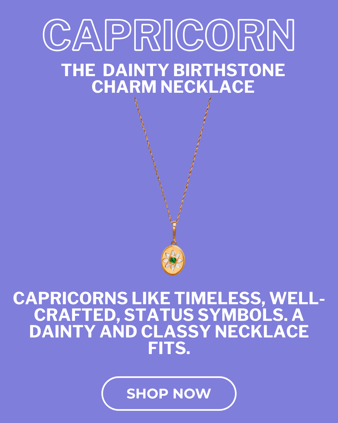 Capricorn- Birthstone Charm Necklace with Dainty Chain