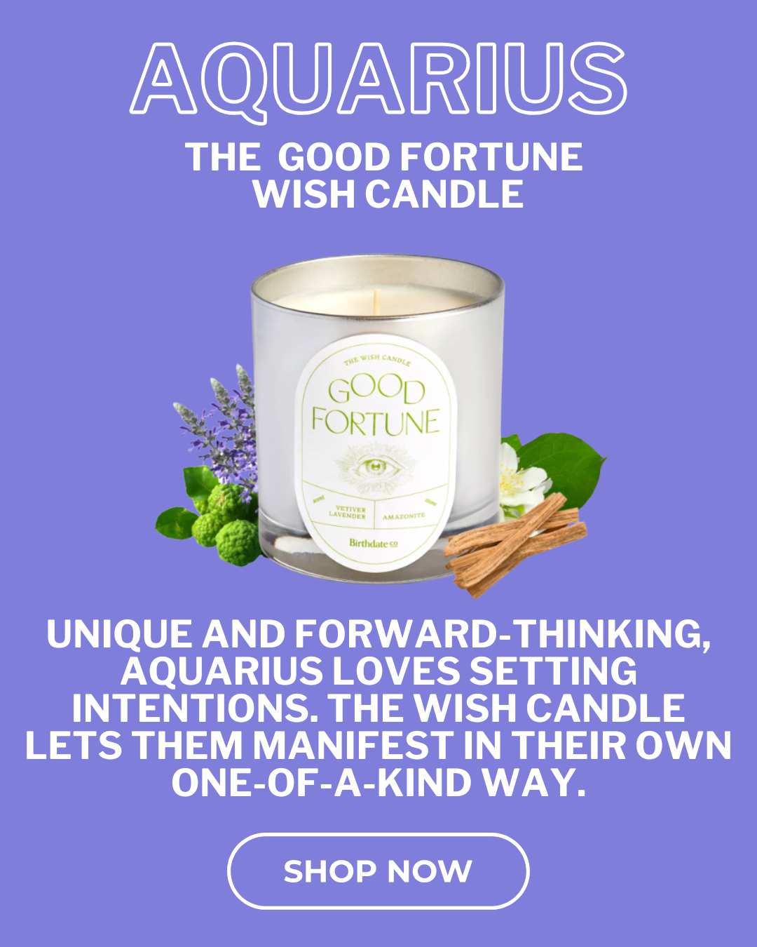 Aquarius- Wish Candle Lavender Vetiver