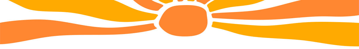 Sun Boarder