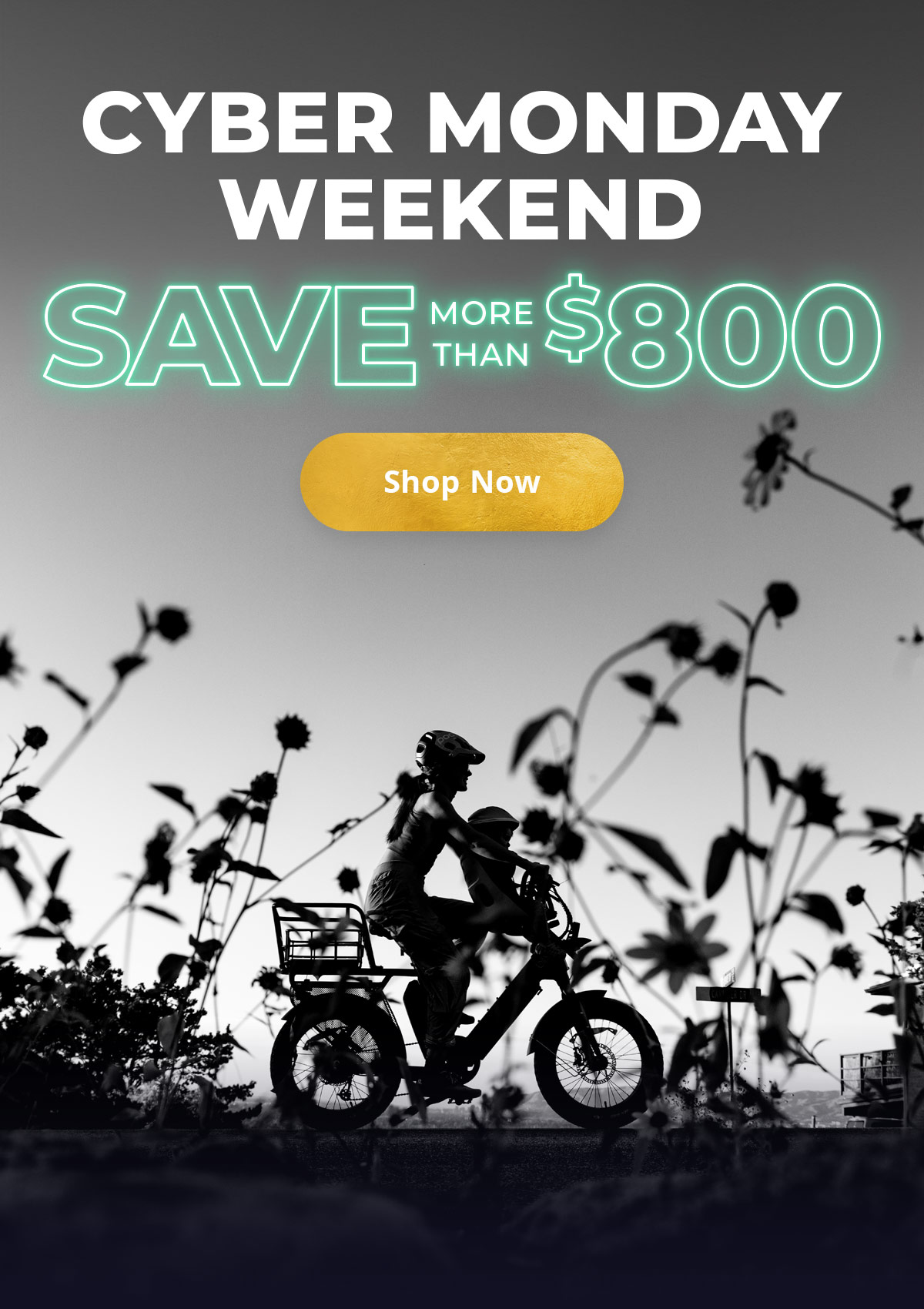 CYBER MONDAY WEEKEND - SAVE UP TO $800