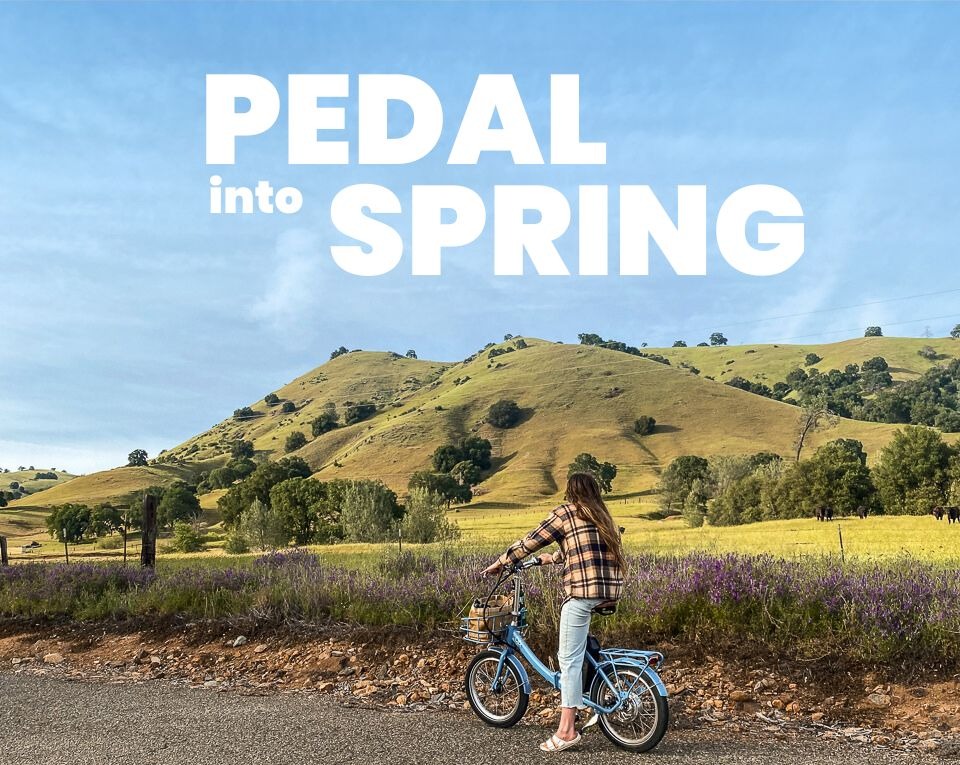 PEDAL INTO SPRING