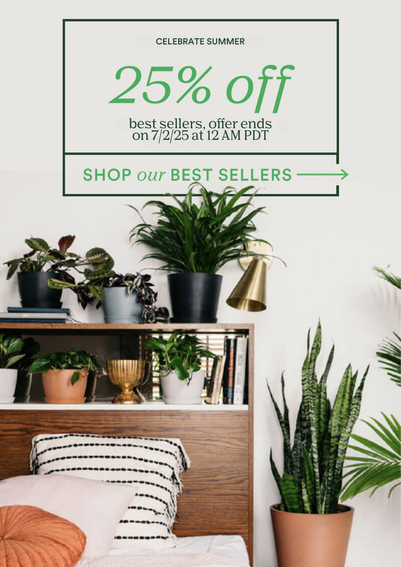 25% off best sellers!