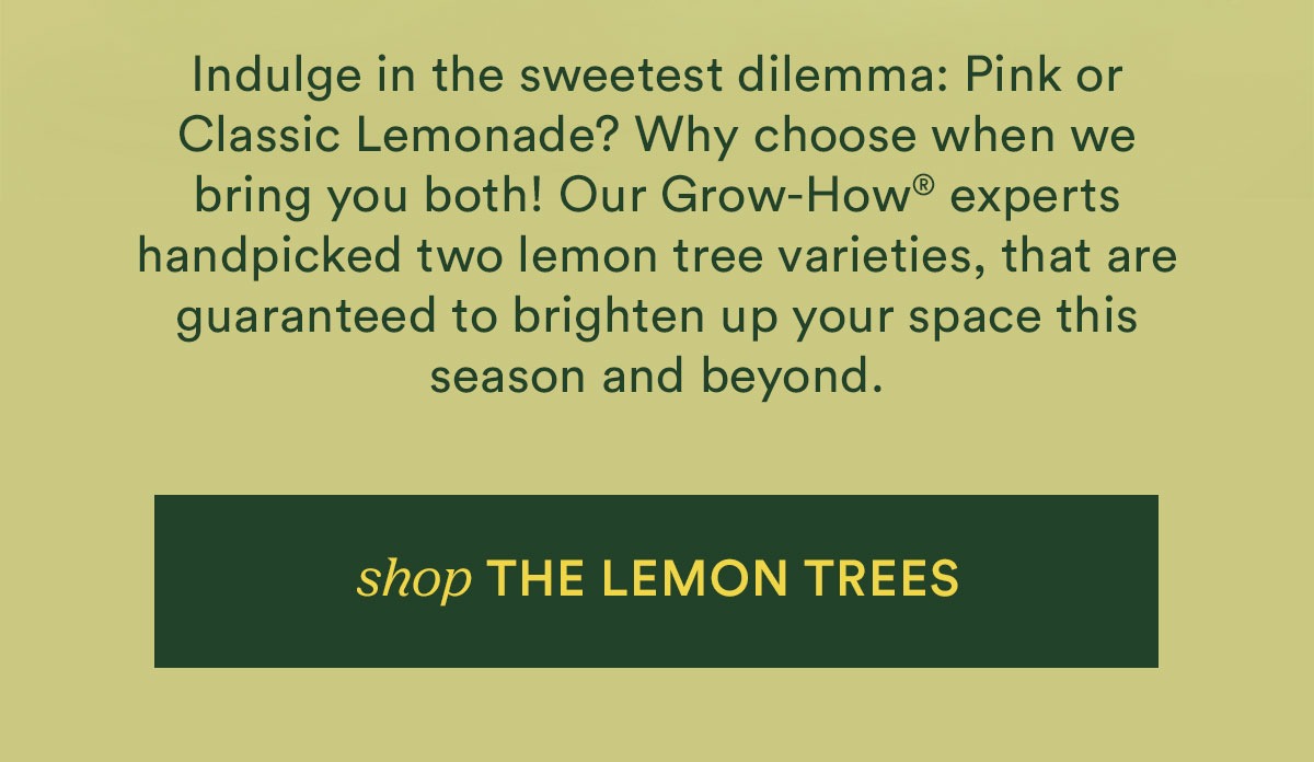 Shop the Lemon Trees