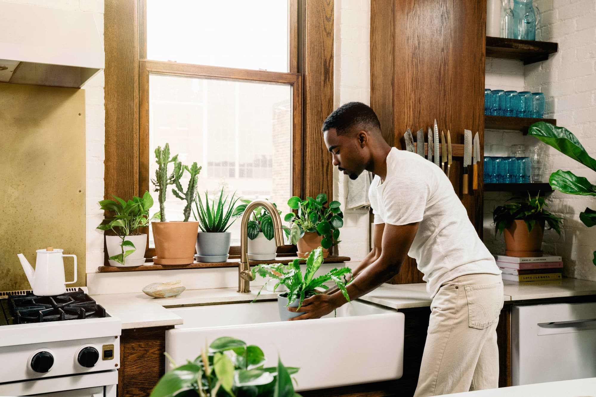 SUMMER PLANT CARE