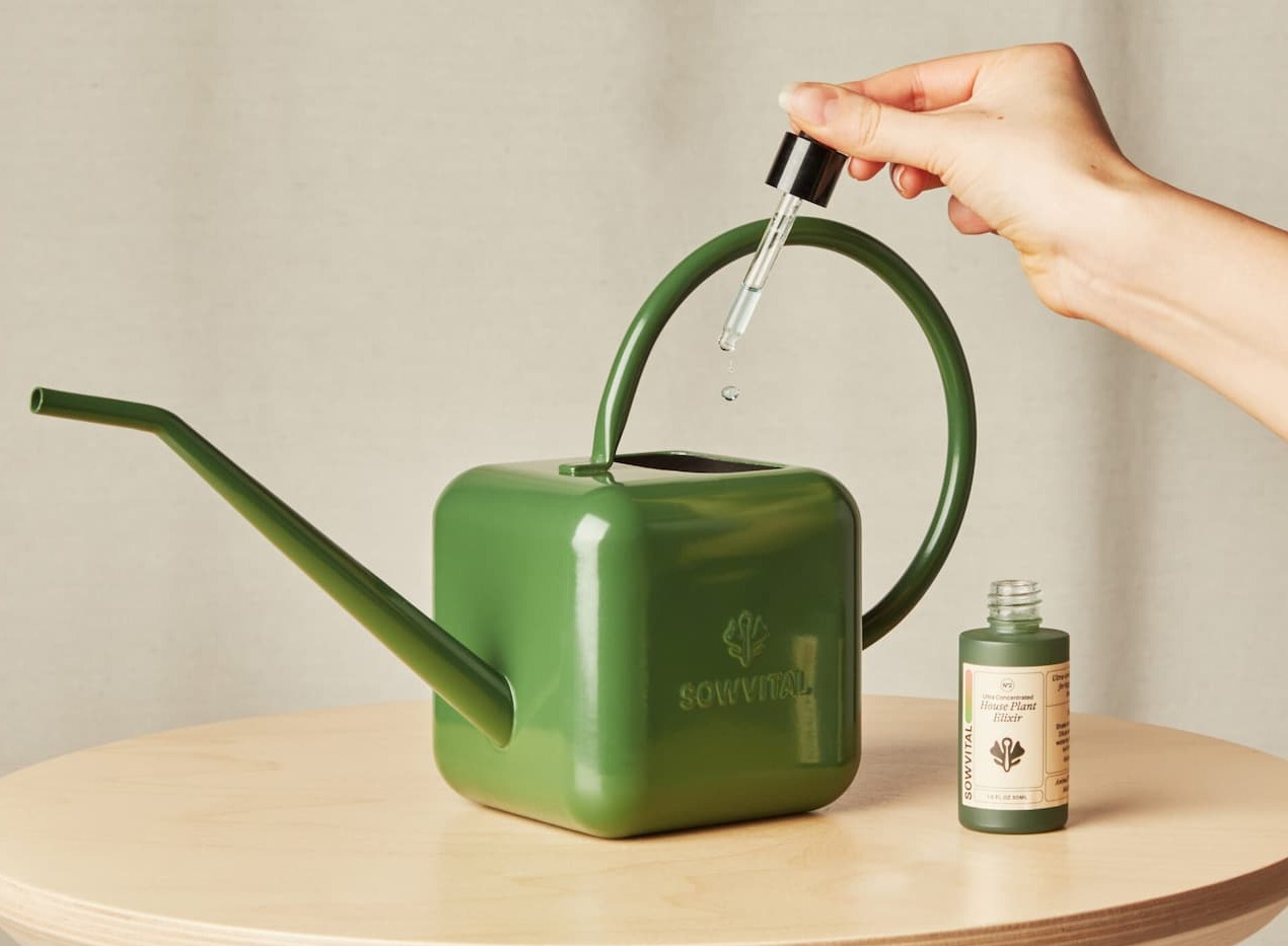HOUSE PLANT ELIXIR