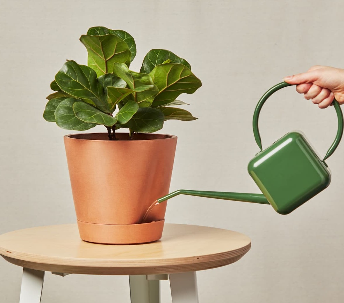 watering self watering pot