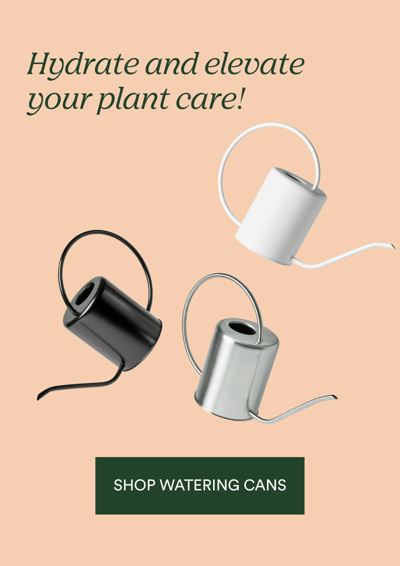 SHOP WATERING CANS