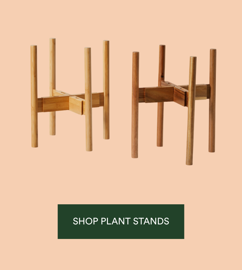 SHOP PLANT STANDS