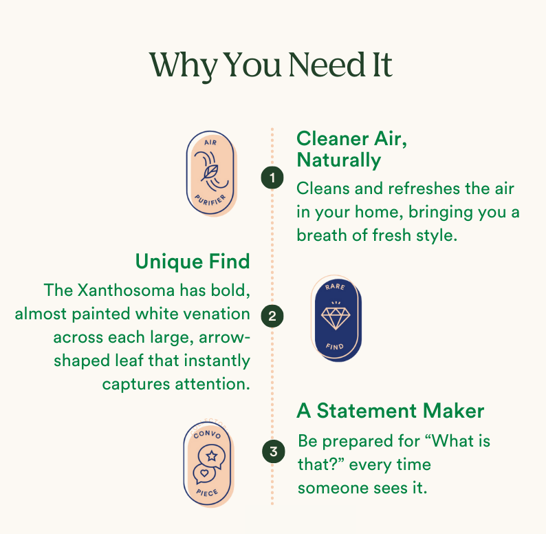 unique, statement maker, and air purifier