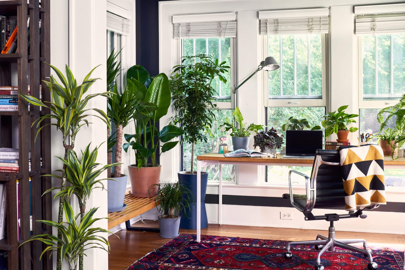 Prep your plants for fall