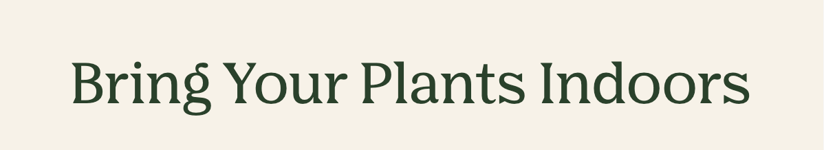 Bring Your Plants Indoors