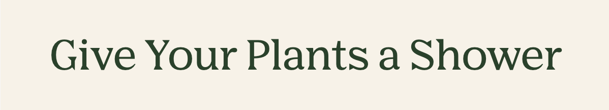 Give Your Plants a Shower