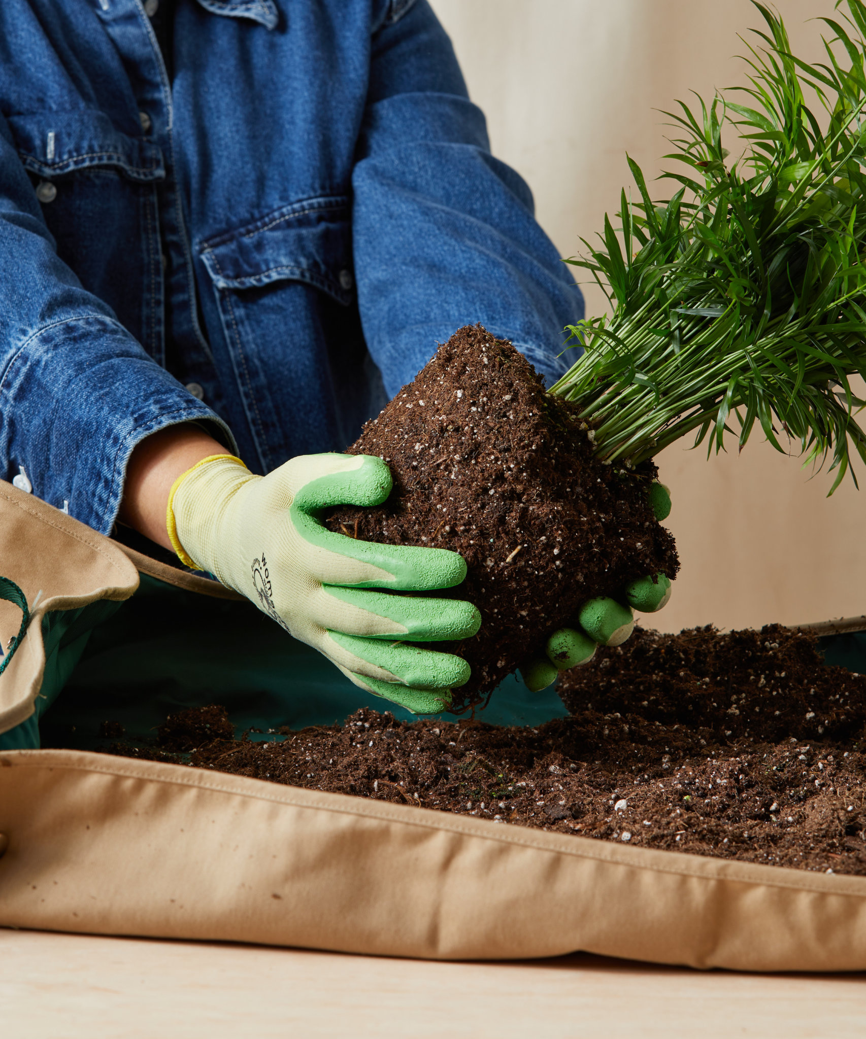 shop repotting kits