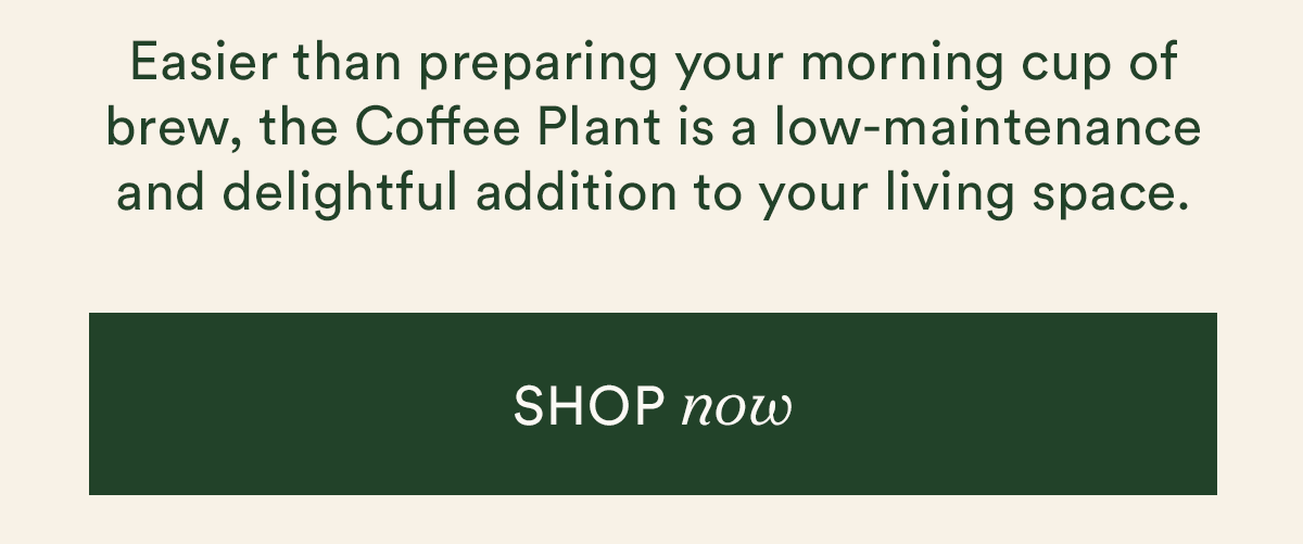 shop the Coffee Plant