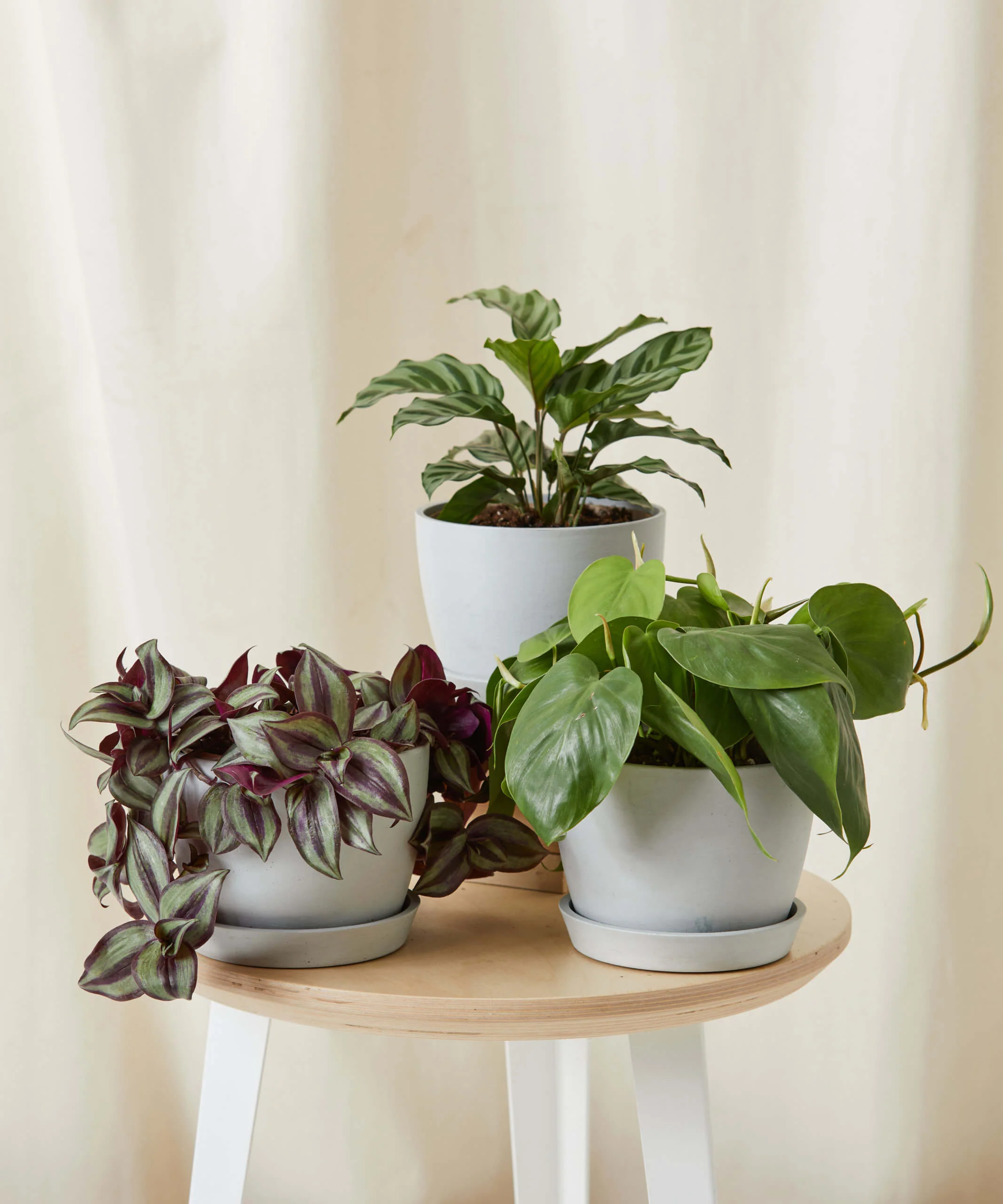 Image of Mini Bathroom Set