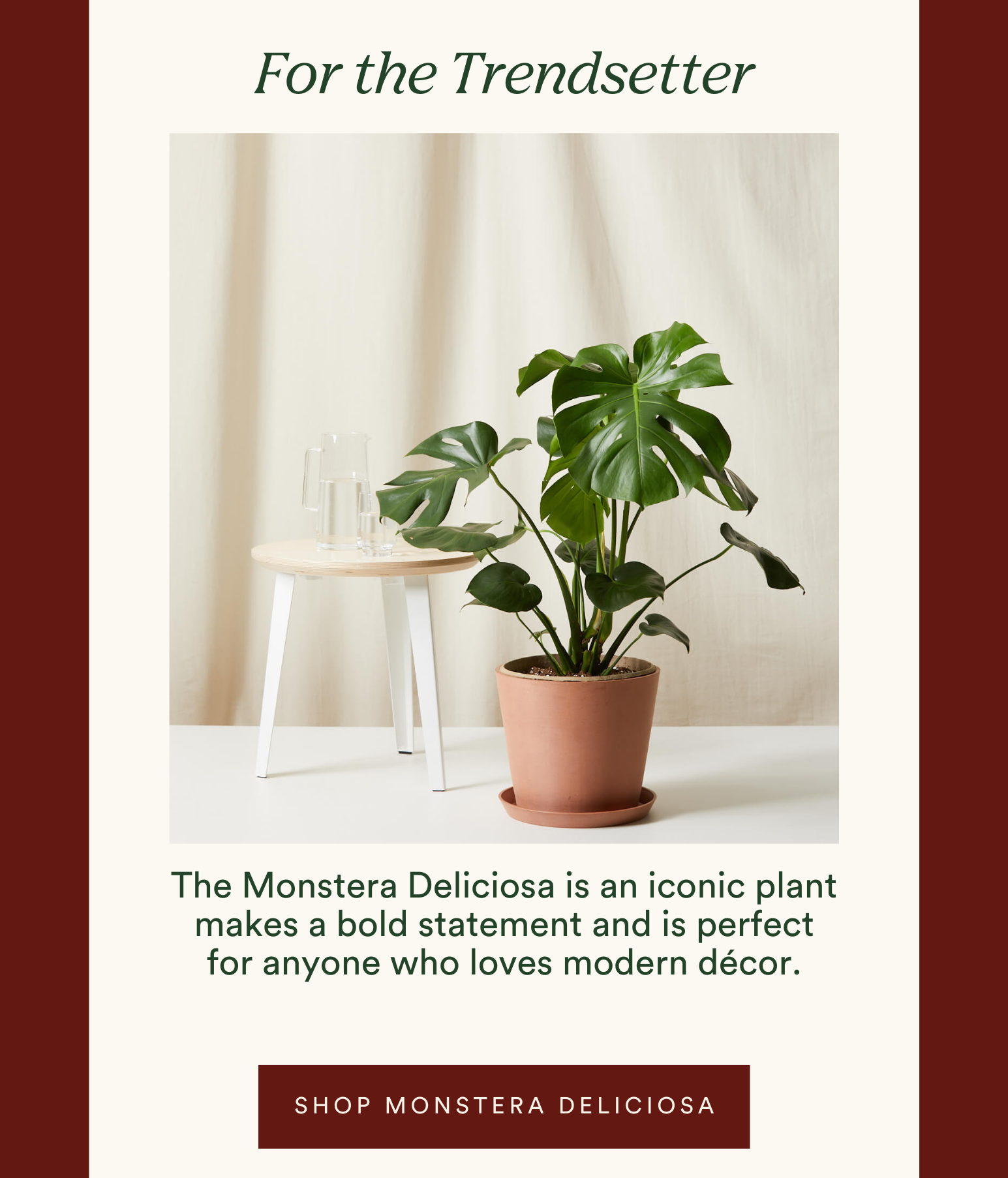 for the trendsetter: shop the monstera