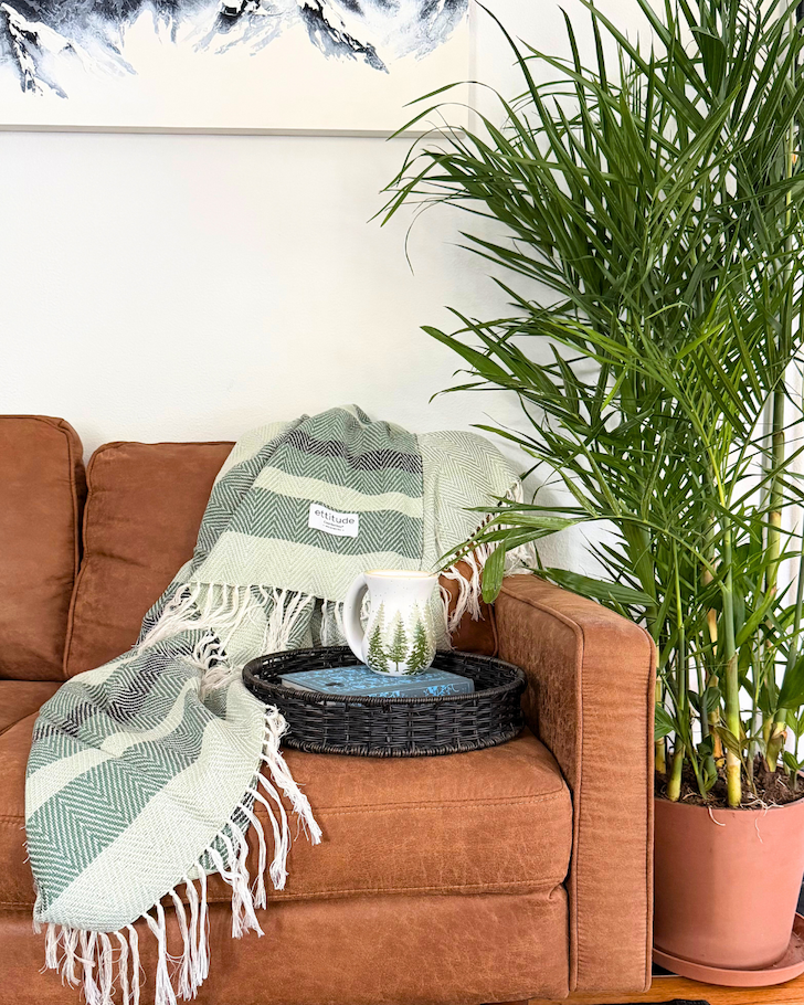 bamboo palm next to sofa with ettitude blanket