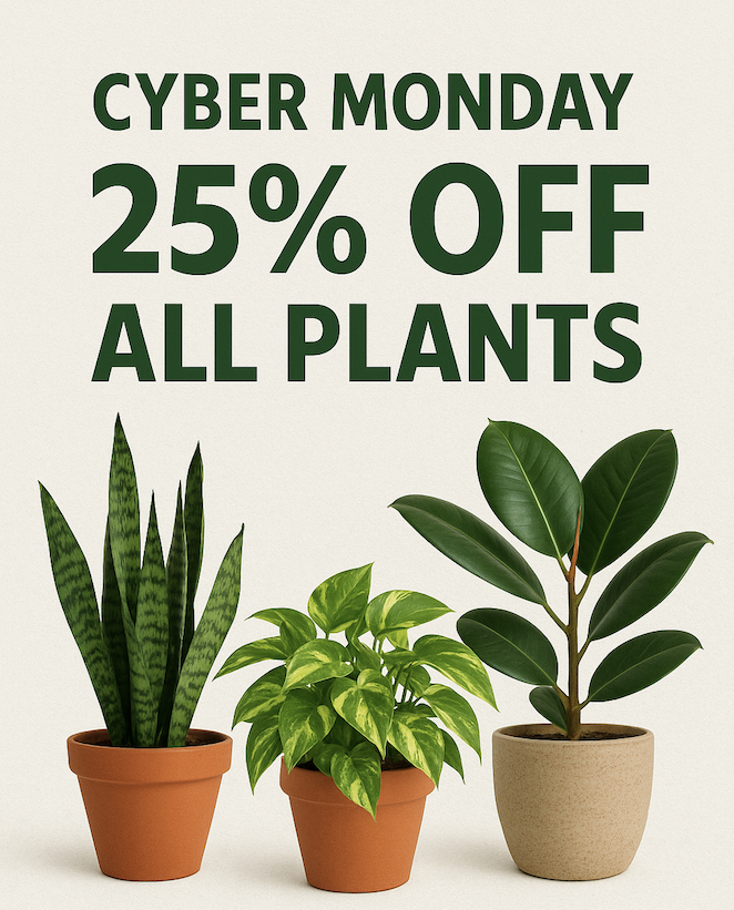 shop all plants 25% off