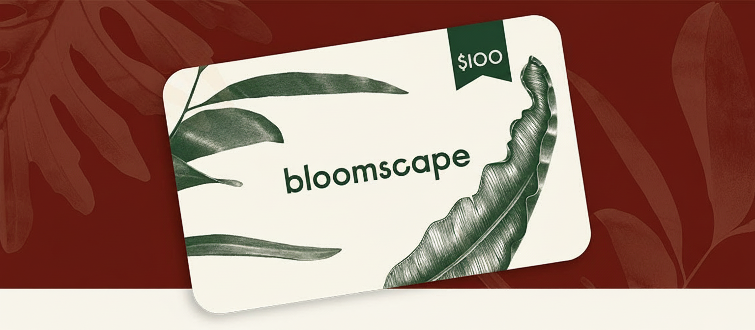an image of a close up of a card with a plant on it