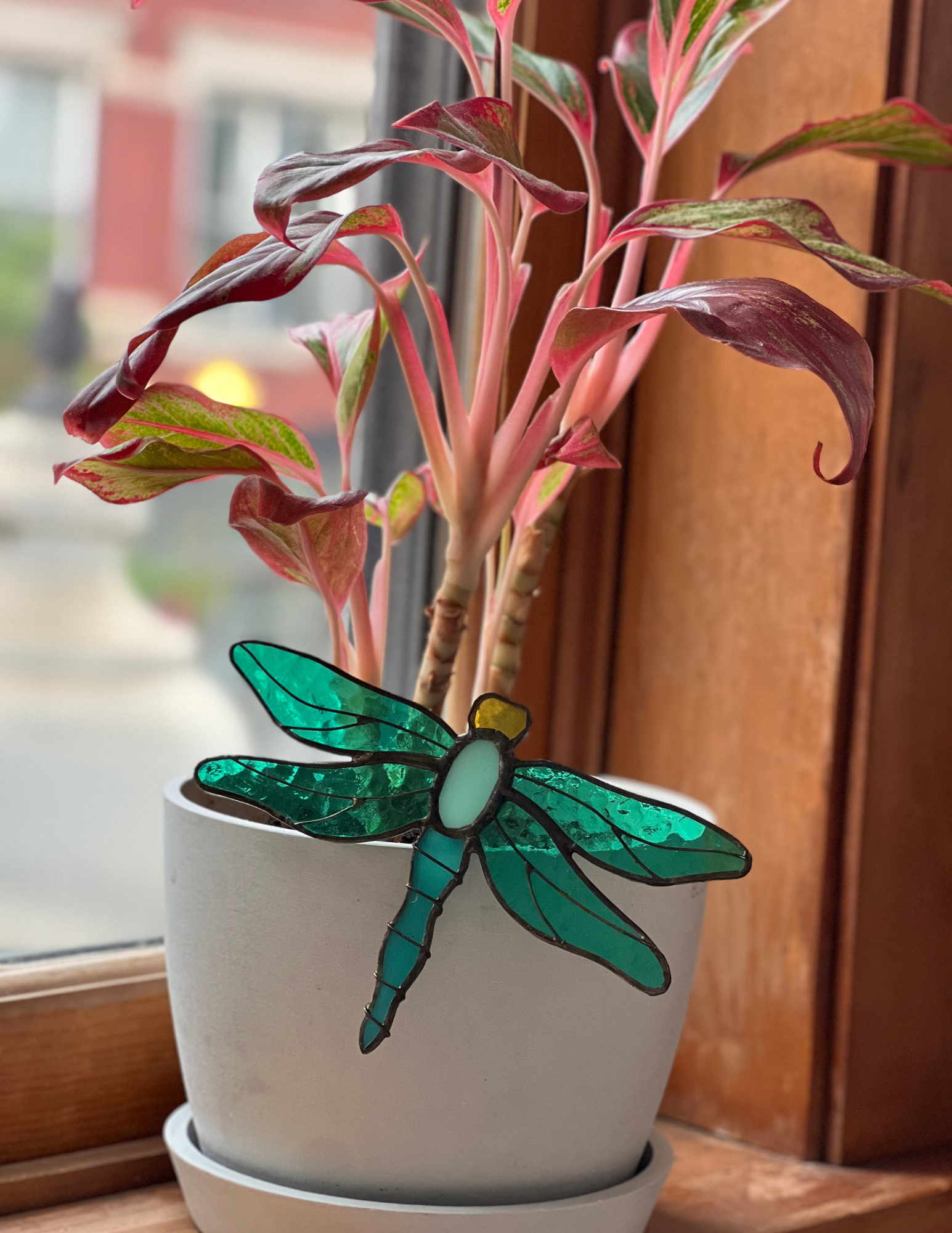 Image of Dragonfly Pot Stake