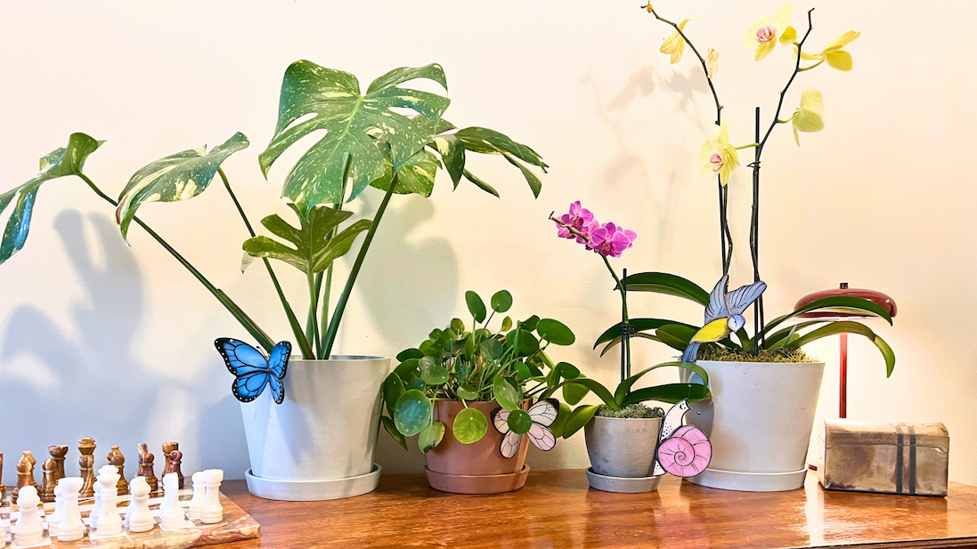 plant grouping with avalglass decor