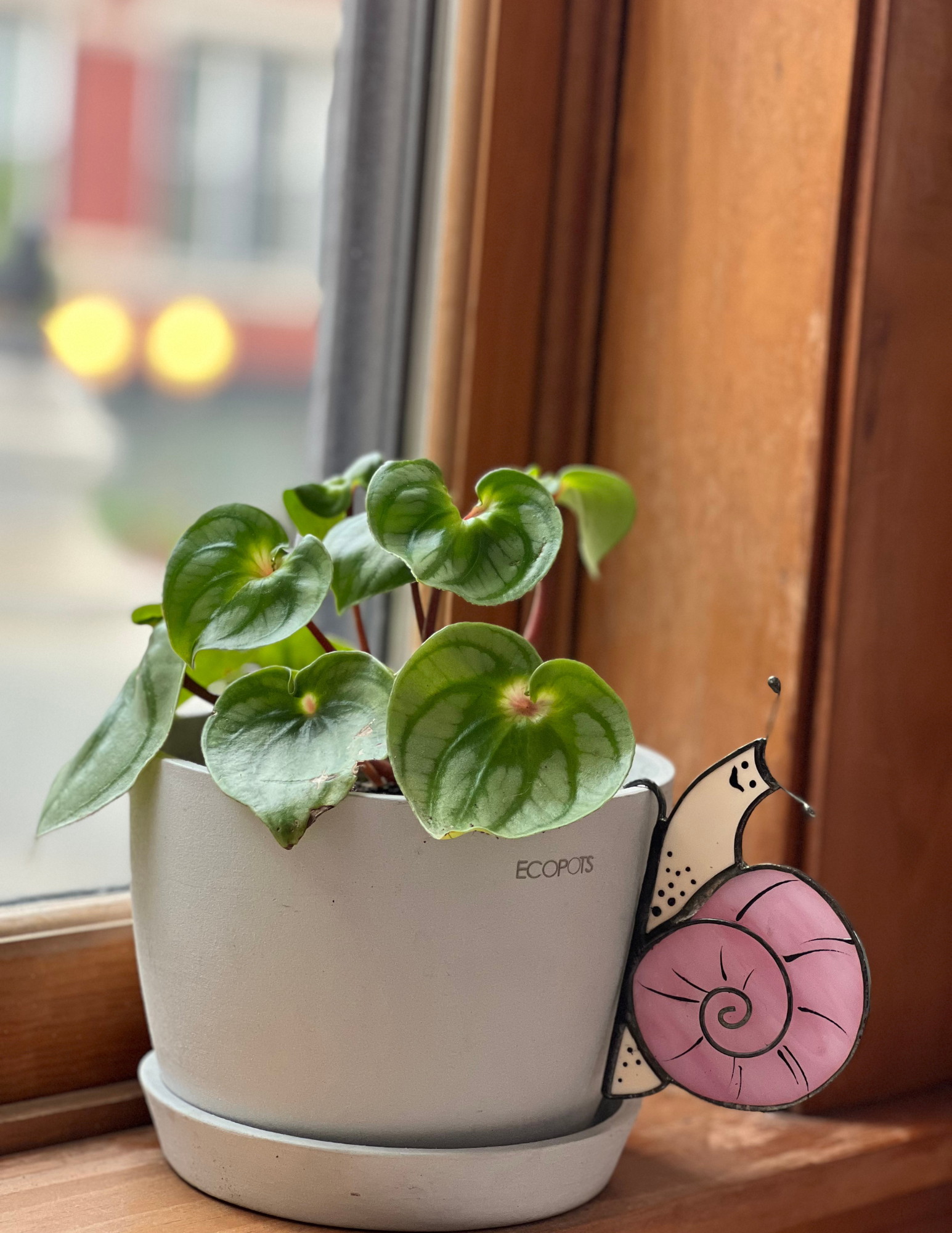 Image of Pink Snail Pot Hugger