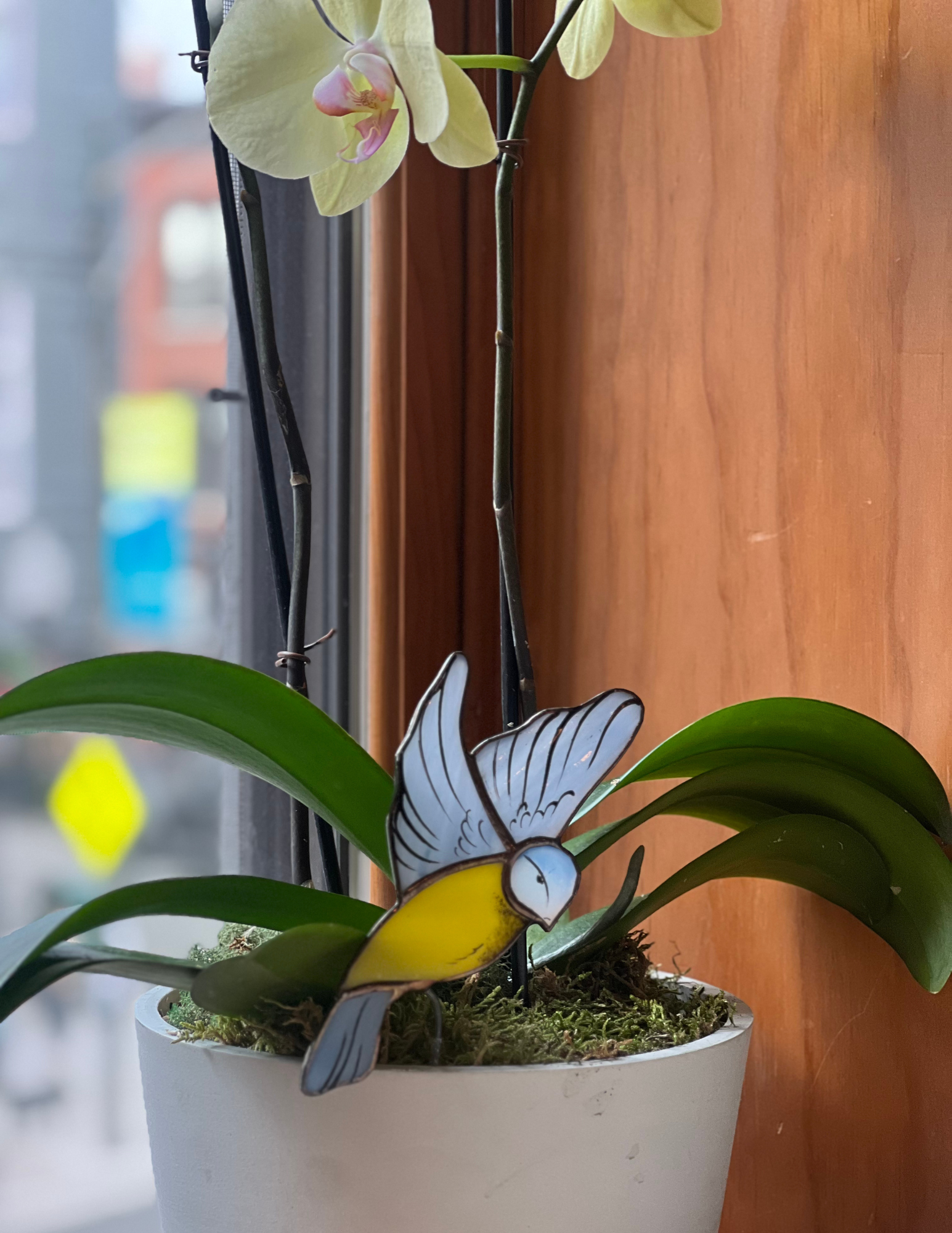 Image of Blue Tit Bird Pot Hugger