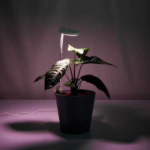adjustable grow light