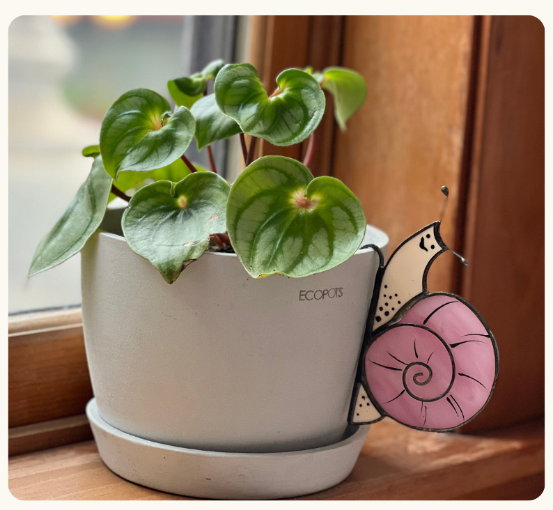pink snail pot hugger