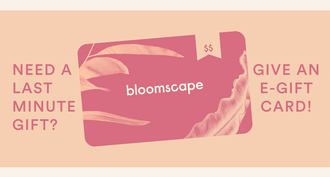 send an e-gift card