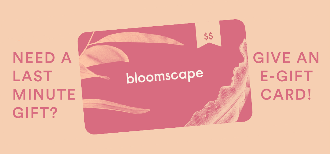shop egift cards